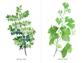 装饰画 晶瓷画 树叶