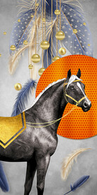 几何抽象羽毛玄关装饰画