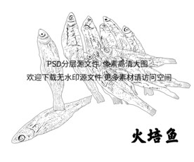 火培鱼插画