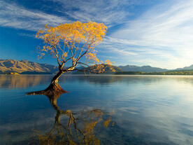 装饰画 晶瓷画 湖