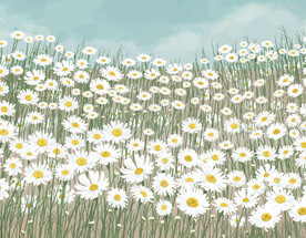 装饰画 晶瓷画 菊花