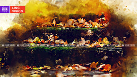 唯美秋季满地落叶