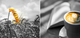 装饰画 晶瓷画 饮食文化