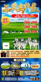 品质乌拉盖 旅游海报