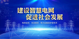 电网电力