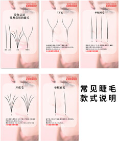 常见睫毛款式说明