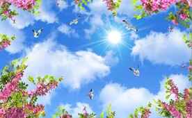 蓝天白云鸽子鲜花