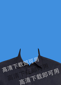 女士证件照衬衫图片