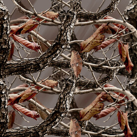 丛林迷彩 水转印 彼覆 数码迷