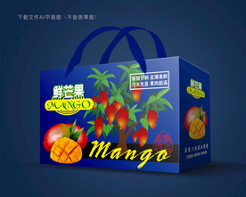 芒果包装