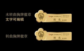 金色南京会议高级定制纪念胸牌