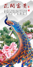 装饰画 孔雀 牡丹花 花开富贵