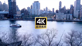 短视频素材海滨城市游艇建筑群