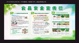 食品安全宣传栏