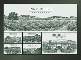 矢量手绘传统葡萄农庄