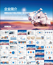 商务会议汇报项目介绍PPT