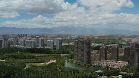 4K航拍森林公园