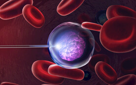 血红细胞治疗感染医疗海报