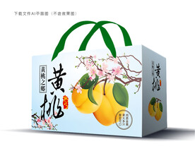 黄桃包装
