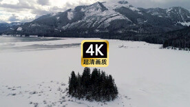 短视频素材航拍雪原上的小树林