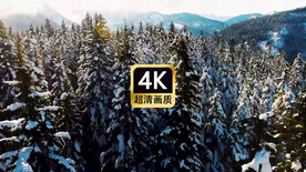 短视频素材航拍远山雾凇雪林