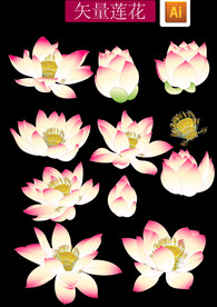 工笔画莲花