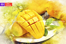 芒果