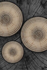 北欧风金色木纹年轮玄关装饰画