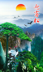 迎客松