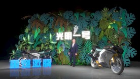 绿植合影墙设计