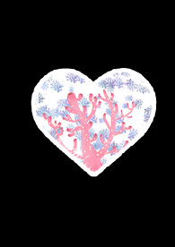 珊瑚组成的爱心