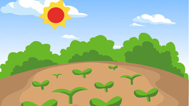 儿童插画菜地小苗