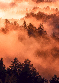 数字油画装饰画素材朝霞浓雾森林