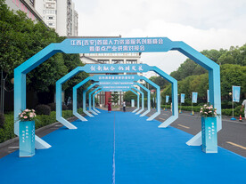 峰会拱门 异形 通道 花柱