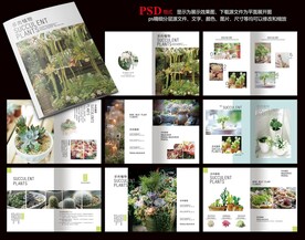 多肉画册