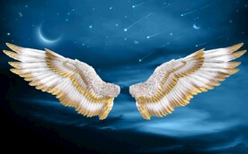 现代北欧风天使翅膀电视背景墙