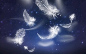 现代北欧风白色羽毛电视背景墙