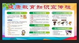 健康教育知识宣传栏