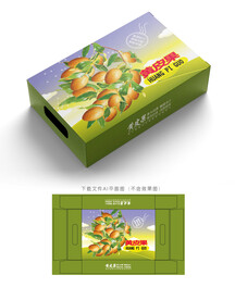 黄皮果包装 