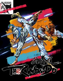 健身运动跆拳道海报模板