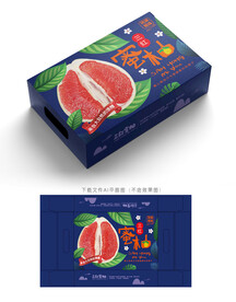 三红蜜柚包装