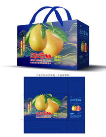 三红蜜柚包装 