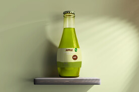 矮装圆肚玻璃饮料瓶样机PSD