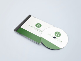 光盘样机效果图片