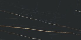 黑金花 金龙黑高清瓷砖设计