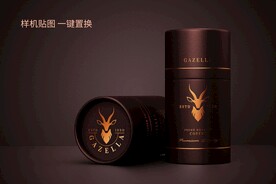 高端豪华包装模型