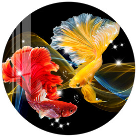 梦幻时尚孔雀鱼斗鱼圆形装饰画