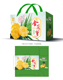 金菠萝包装