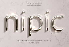 精致闪亮铬金金属特效字