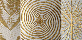 晶瓷画 抽象画 叶子